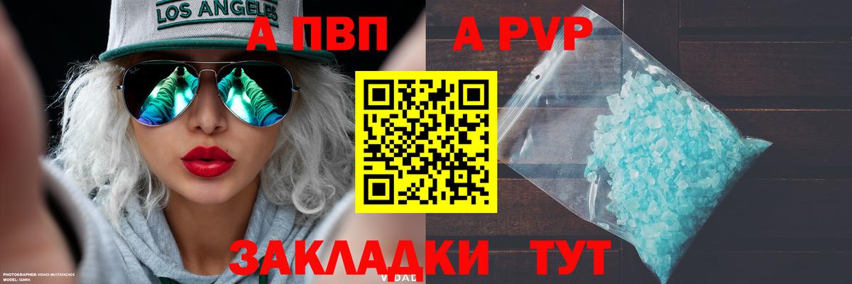 А ПВП СК КРИС  Вход с VPN  Кропоткин  Alfa_PVP крисы CK 