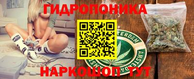 меф Кингисепп