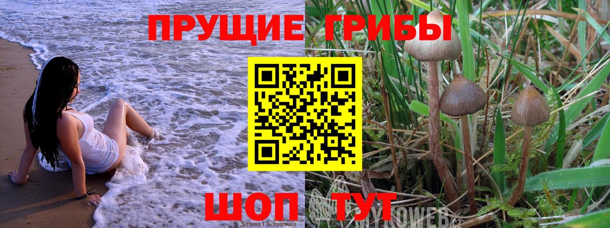 Кропоткин  Галлюциногенные грибы Magic Shrooms  Вход с VPN 
